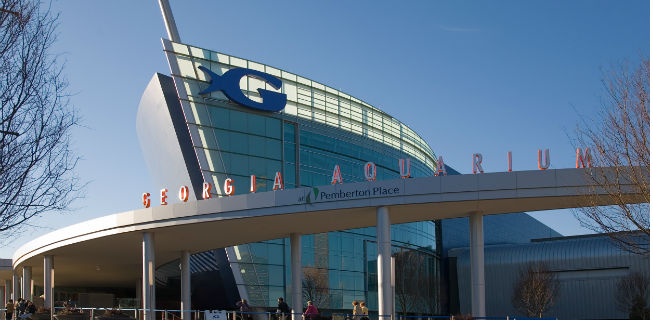 Georgia Aquarium Georgia Aquarium Atlanta Hotel